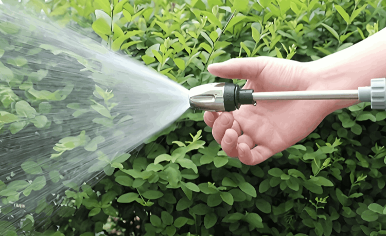 Aquoxis Pressure Washer